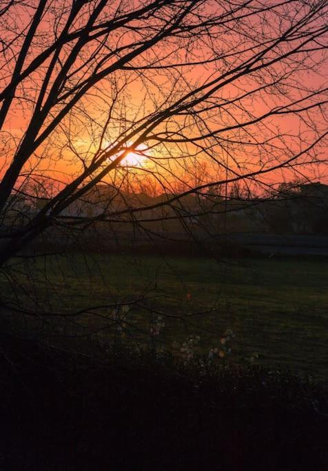 Affittacamere L'Agora Piacenza Esterno foto